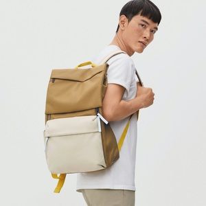 Everlane Travel and Commuter Backpack